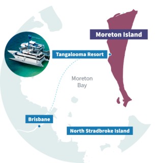 tangalooma moreton island tours